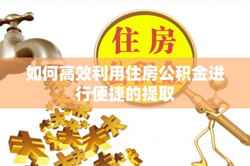 阿拉善盟如何高效利用住房公积金进行便捷的提取