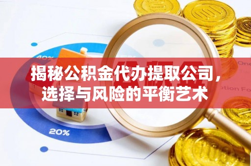 阿拉善盟揭秘公积金代办提取公司，选择与风险的平衡艺术