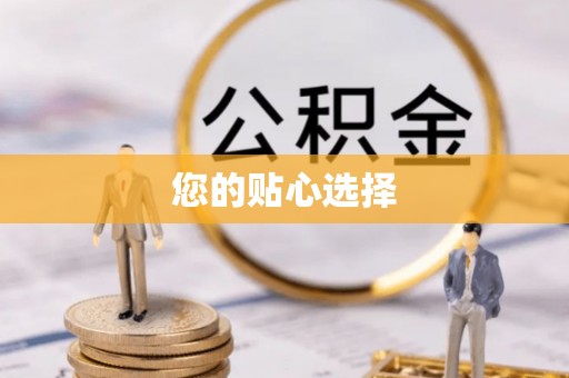 阿拉善盟您的贴心选择