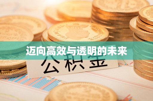 阿拉善盟迈向高效与透明的未来