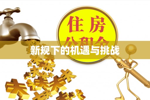 阿拉善盟新规下的机遇与挑战