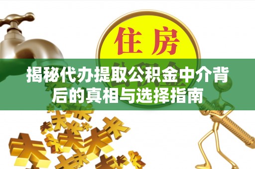 阿拉善盟揭秘代办提取公积金中介背后的真相与选择指南