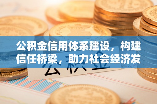 阿拉善盟公积金信用体系建设，构建信任桥梁，助力社会经济发展