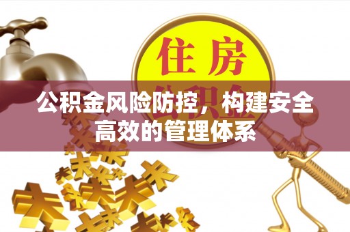 阿拉善盟公积金风险防控，构建安全高效的管理体系