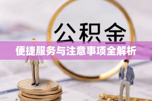阿拉善盟便捷服务与注意事项全解析