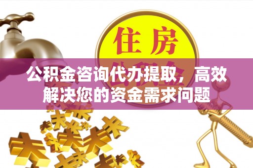阿拉善盟公积金咨询代办提取，高效解决您的资金需求问题