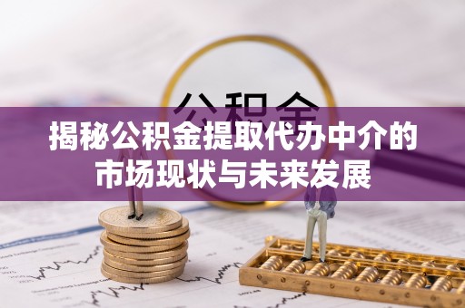 阿拉善盟揭秘公积金提取代办中介的市场现状与未来发展