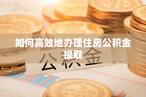 阿拉善盟如何高效地办理住房公积金提取