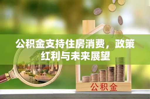 阿拉善盟公积金支持住房消费，政策红利与未来展望