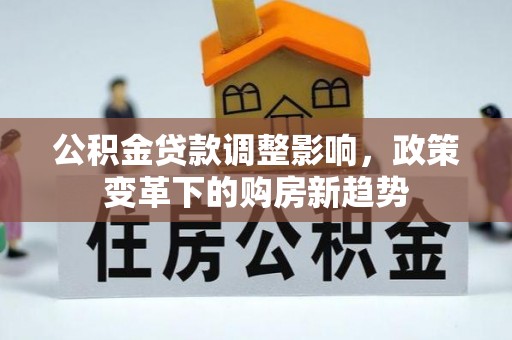 阿拉善盟公积金贷款调整影响，政策变革下的购房新趋势