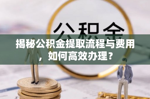 阿拉善盟揭秘公积金提取流程与费用，如何高效办理？