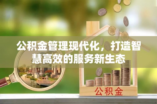 阿拉善盟公积金管理现代化，打造智慧高效的服务新生态
