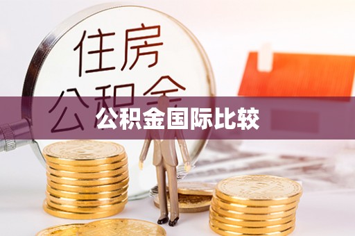 阿拉善盟公积金国际比较