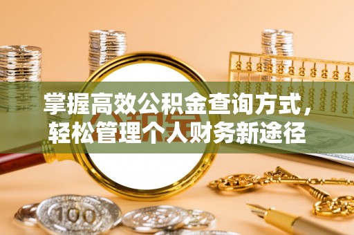 阿拉善盟掌握高效公积金查询方式，轻松管理个人财务新途径