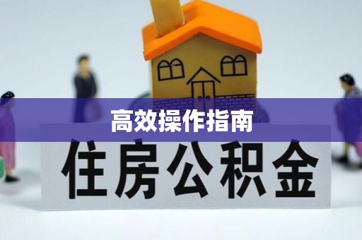 阿拉善盟高效操作指南