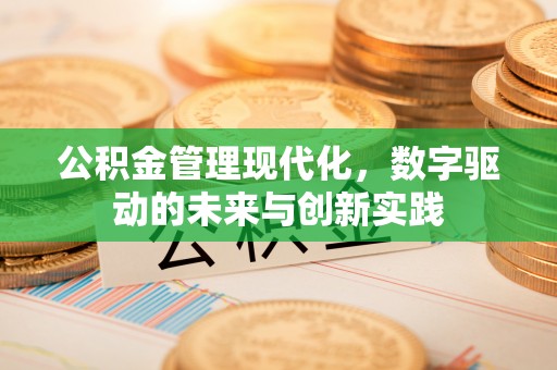 阿拉善盟公积金管理现代化，数字驱动的未来与创新实践