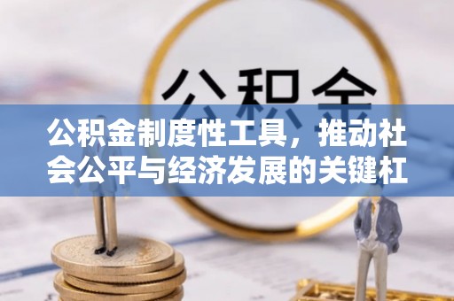 阿拉善盟公积金制度性工具，推动社会公平与经济发展的关键杠杆