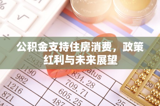 阿拉善盟公积金支持住房消费，政策红利与未来展望