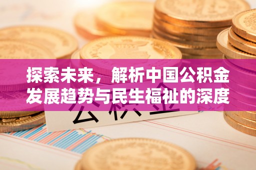 阿拉善盟探索未来，解析中国公积金发展趋势与民生福祉的深度融合