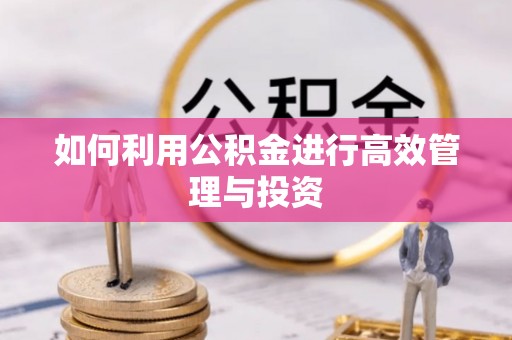 阿拉善盟如何利用公积金进行高效管理与投资