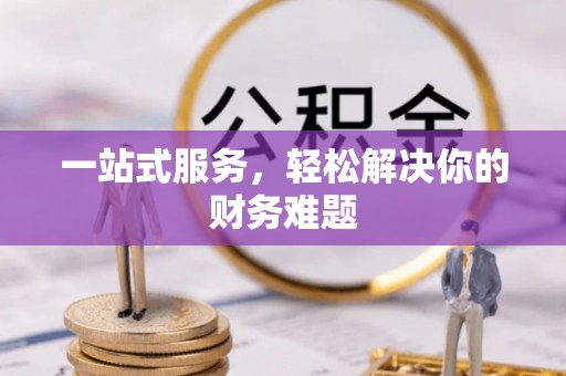 阿拉善盟一站式服务，轻松解决你的财务难题