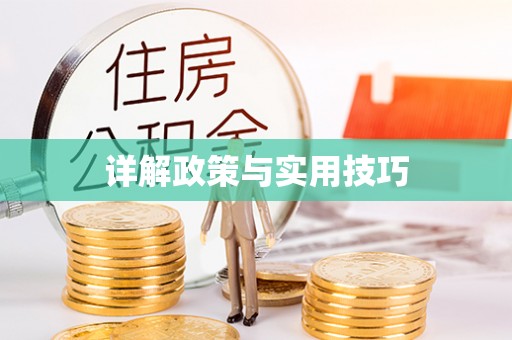 阿拉善盟详解政策与实用技巧
