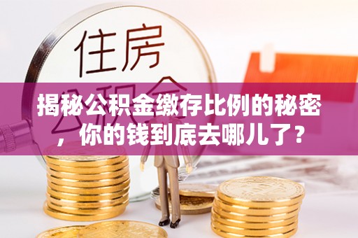 阿拉善盟揭秘公积金缴存比例的秘密，你的钱到底去哪儿了？