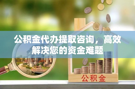 阿拉善盟公积金代办提取咨询，高效解决您的资金难题