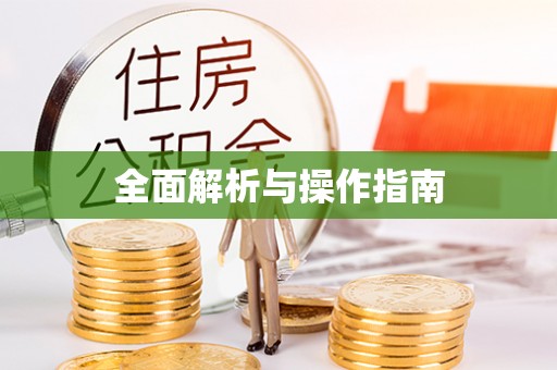 阿拉善盟全面解析与操作指南
