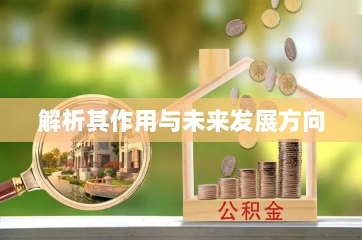 阿拉善盟解析其作用与未来发展方向