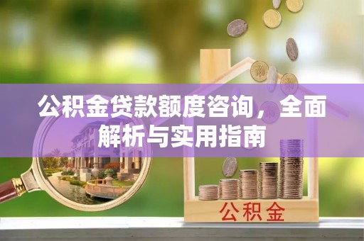 阿拉善盟公积金贷款额度咨询，全面解析与实用指南