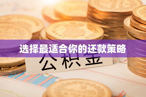 阿拉善盟选择最适合你的还款策略