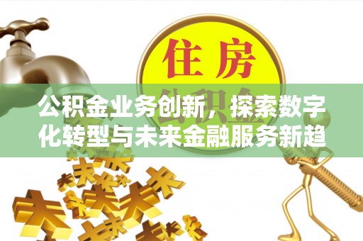 阿拉善盟公积金业务创新，探索数字化转型与未来金融服务新趋势