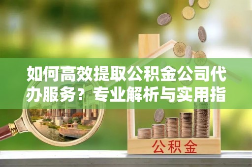 阿拉善盟如何高效提取公积金公司代办服务？专业解析与实用指南