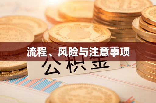 阿拉善盟流程、风险与注意事项