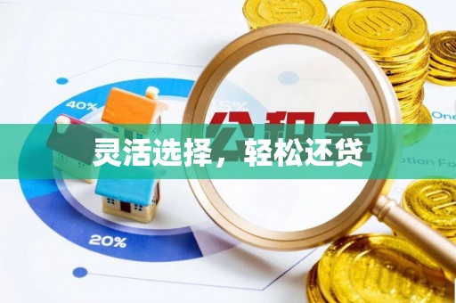 阿拉善盟灵活选择，轻松还贷