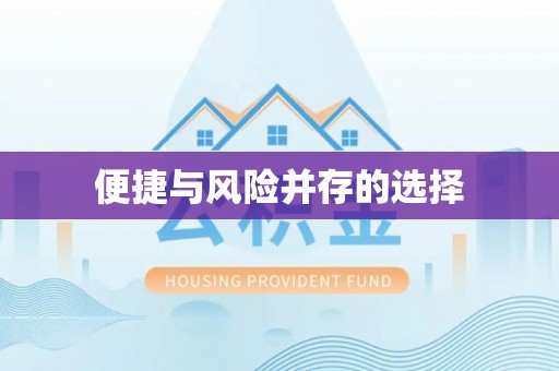 阿拉善盟便捷与风险并存的选择