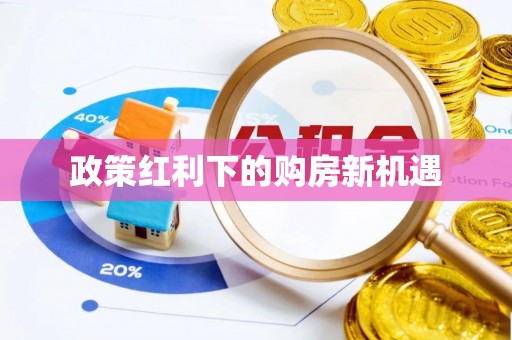 阿拉善盟政策红利下的购房新机遇
