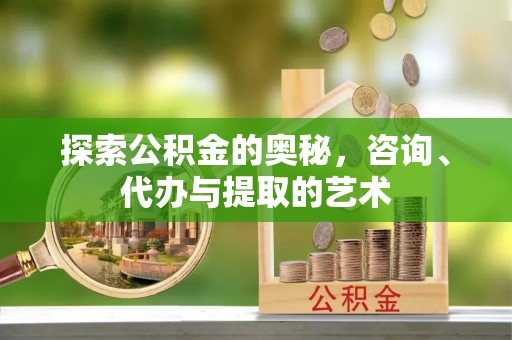 阿拉善盟探索公积金的奥秘，咨询、代办与提取的艺术